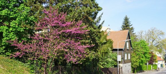 Grundstück in Hietzing, Austria, Nr. 30615 2