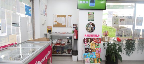 Коммерческая недвижимость 41м² в Риу ди Мору, Португалия № 126665 19