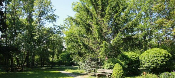 4 rooms Apartment in Modling, Austria No. 146323 13