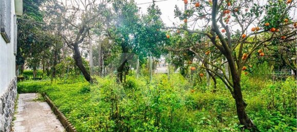 3 bedrooms House in Corroios, Portugal No. 63796 35