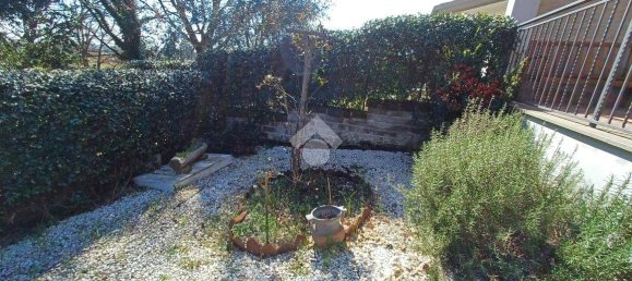 2 bedrooms Villa in Nepi, Italy No. 155061 10