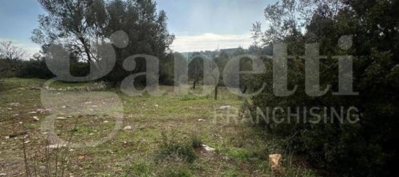 4 bedrooms Villa in Ostuni, Italy No. 29506 34