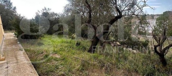 4 bedrooms Villa in Ostuni, Italy No. 29506 30