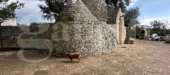 4 bedrooms Villa in Ostuni, Italy No. 29506 11