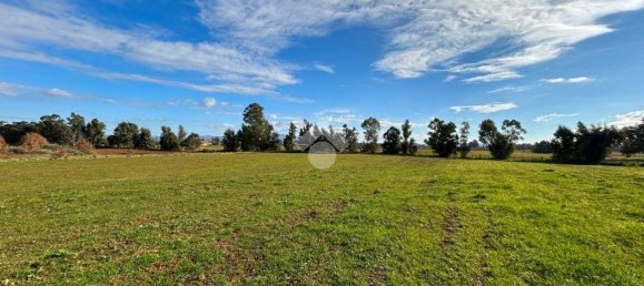 5 rooms House in Vetralla, Italy No. 170228 31