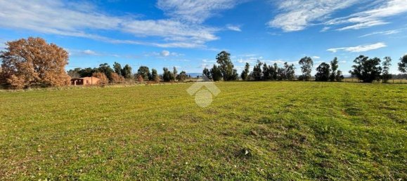 5 rooms House in Vetralla, Italy No. 170228 24