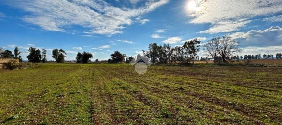 5 rooms House in Vetralla, Italy No. 170228 28