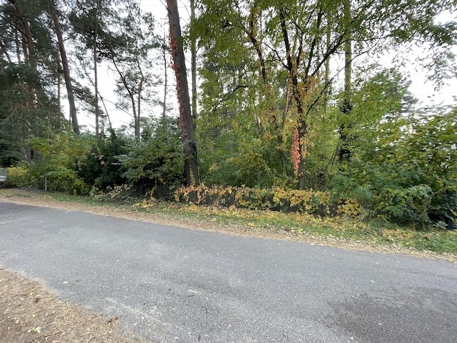  Land in Potsdam-Mittelmark, Germany No. 36102