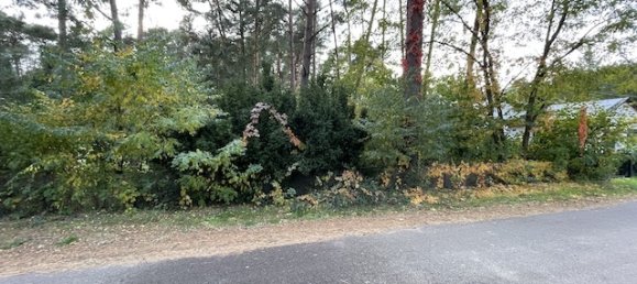  Land in Potsdam-Mittelmark, Germany No. 36102 2