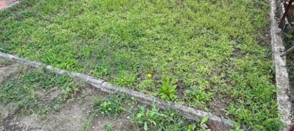 6 rooms House in Villadose, Italy No. 175845 17