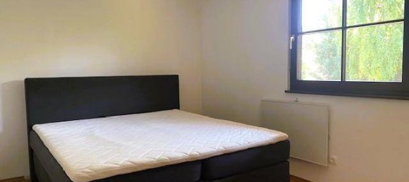 2 chambres Bungalow à Winzendorf-Muthmannsdorf, Austria No. 222412 14