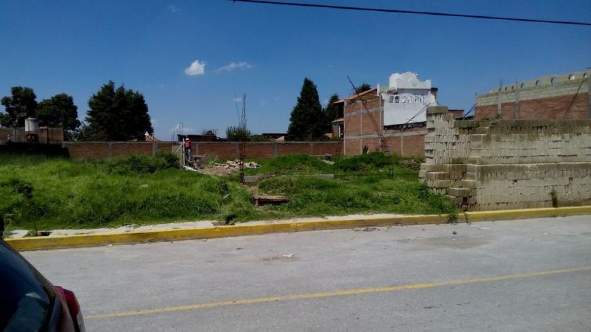  Land in Mexico No. 204484