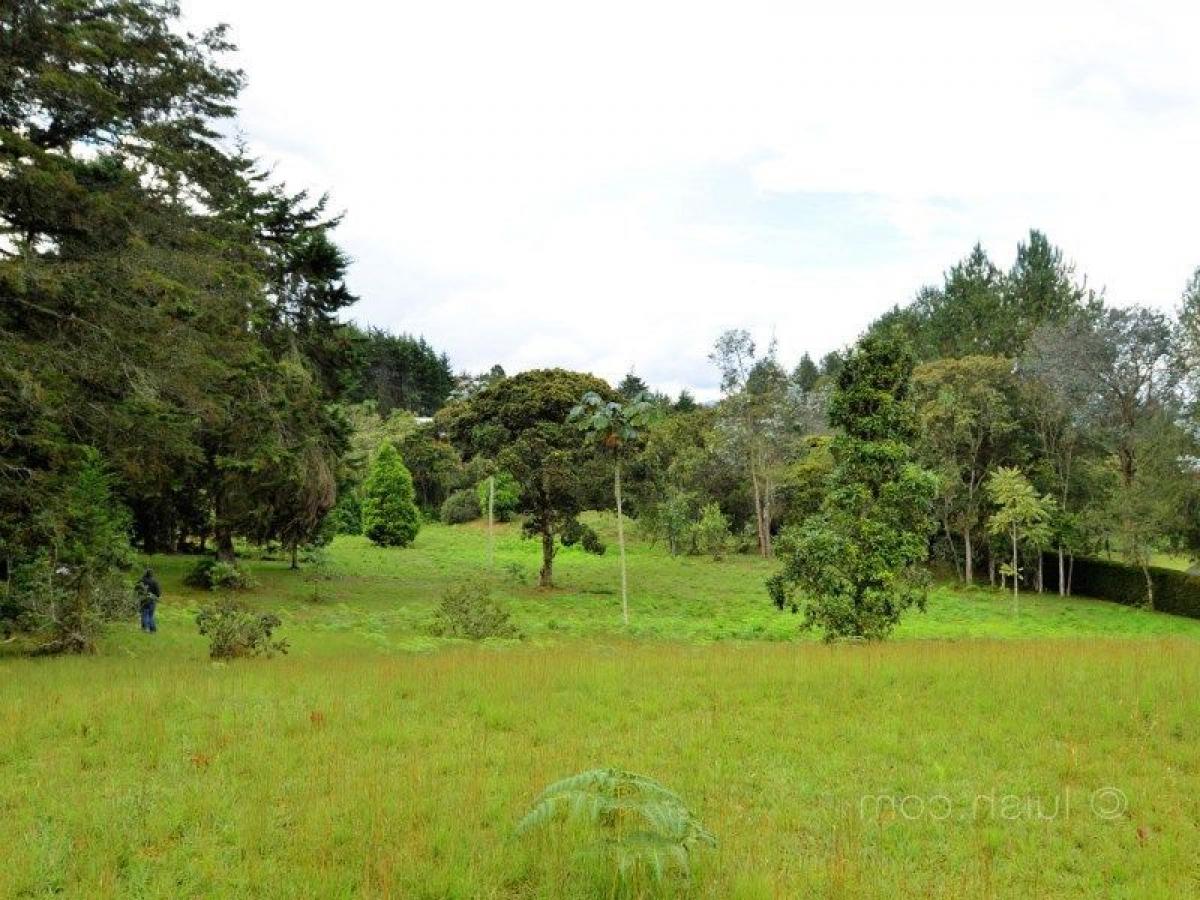  Land in Antioquia, Colombia No. 855