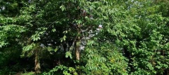 Terreno en Wandsbek, Germany No. 27728 6