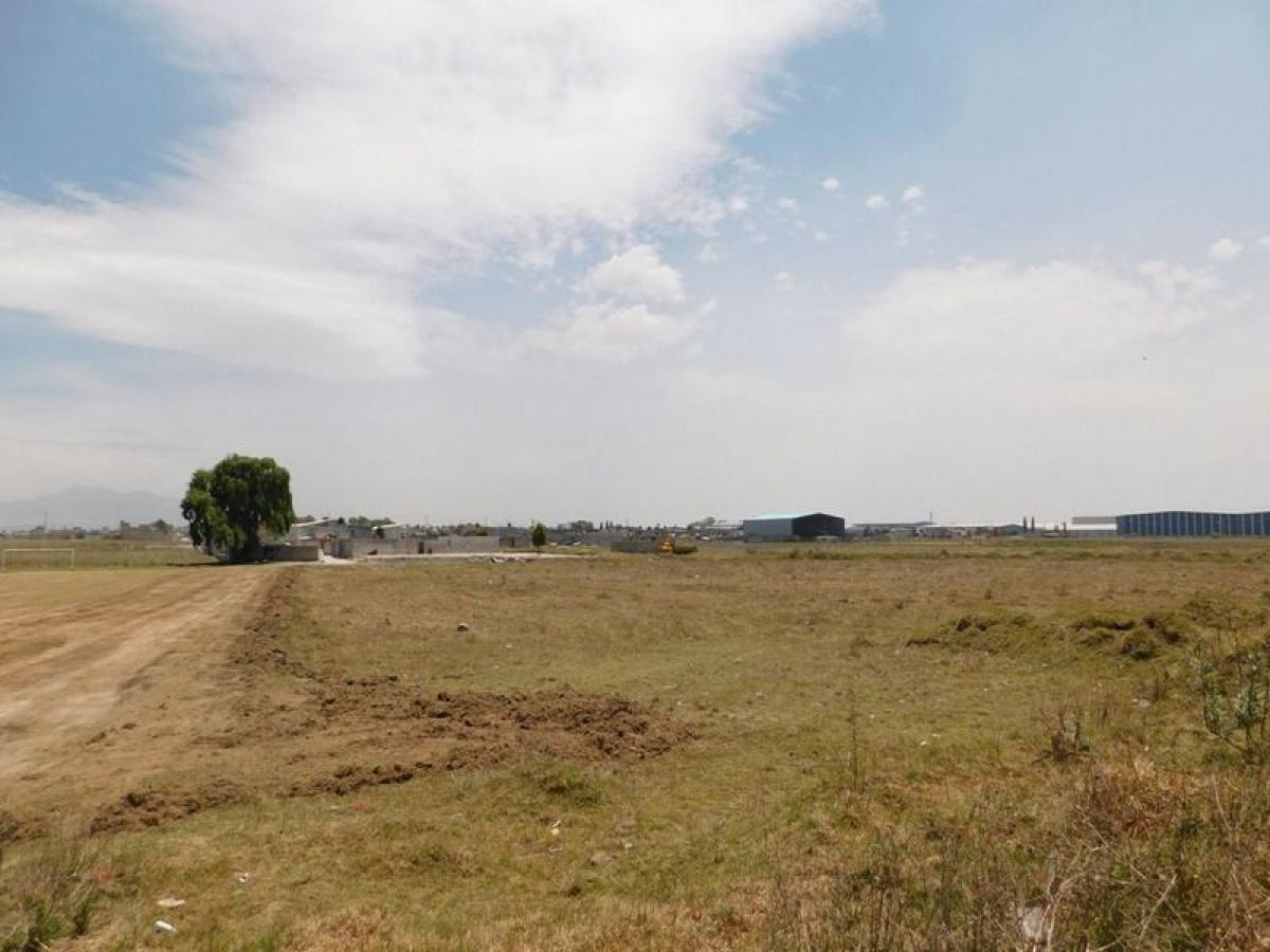 Terreno en Polotitlán de la Ilustración, Mexico No. 203253