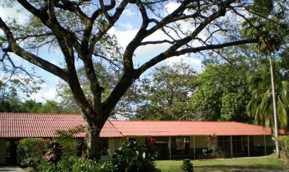 18 bedrooms House in Meta, Colombia No. 1796