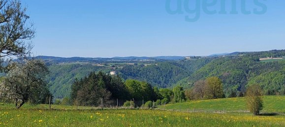 4 bedrooms House in Waldkirchen am Wesen, Austria No. 185339 2