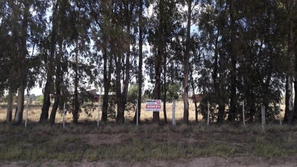 2 bedrooms House in Buenos Aires, Argentina No. 85545