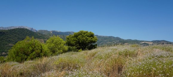 3 bedrooms House in Yunquera, Spain No. 53247 23