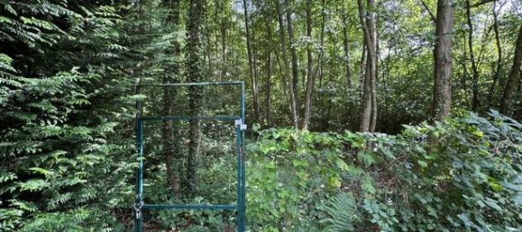 4340m² Land in Nouvion-le-Vineux, France No. 307655 10