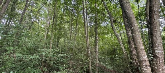 4340m² Land in Nouvion-le-Vineux, France No. 307655 11