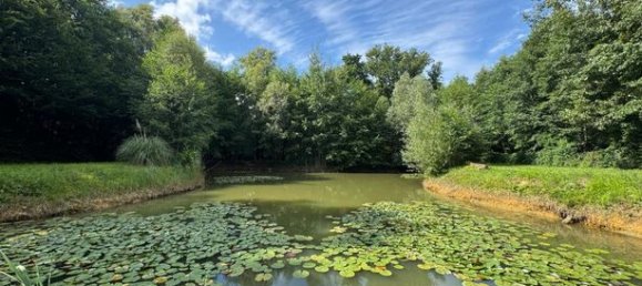 4340m² Land in Nouvion-le-Vineux, France No. 307655 7