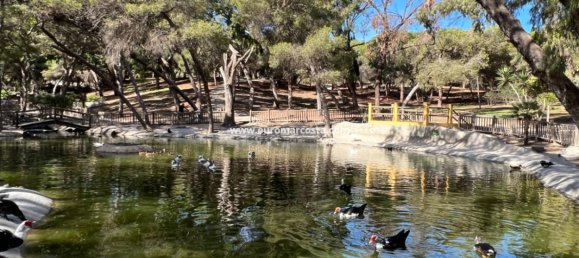 2 Schlafzimmer Haus in Guardamar del Segura, Spain, Nr. 28915 47