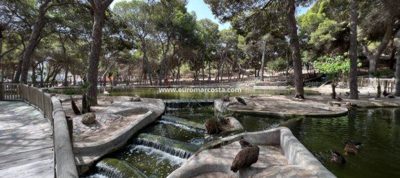 2 Schlafzimmer Haus in Guardamar del Segura, Spain, Nr. 28915 46