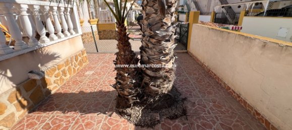 2 Schlafzimmer Haus in Guardamar del Segura, Spain, Nr. 28915 5