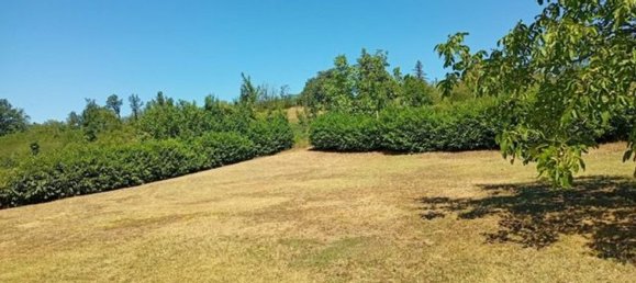 8 rooms Villa in Tortona, Italy No. 223051 3