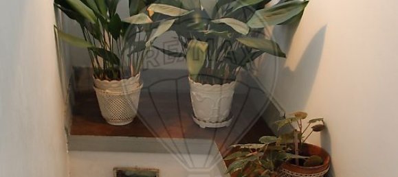 4 bedrooms House in Cambres, Portugal No. 166778 15