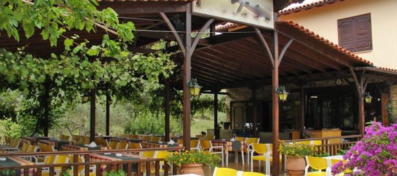 400m² Property in Chalkidiki, Greece No. 8062 3