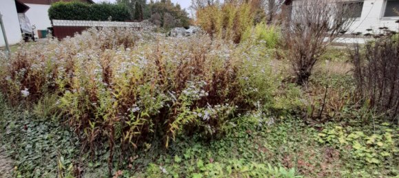 4 chambres Maison de ville à Rhineland-Palatinate, Germany No. 117973 18