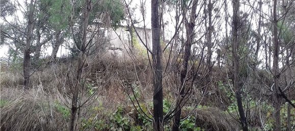 3 غرف نوم منزل في Serta, Portugal رقم 32053 8