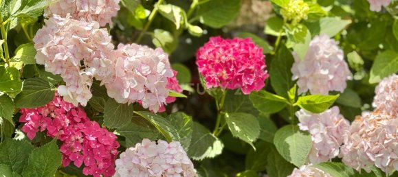 7 bedrooms House in Granada, Spain No. 143527 16