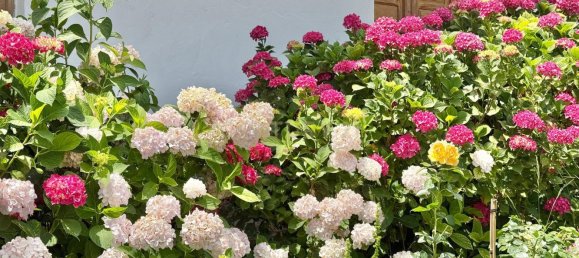 7 bedrooms House in Granada, Spain No. 143527 18