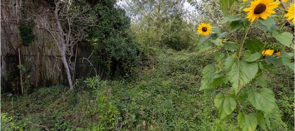 2 غرف نوم منزل في Mur-de-Sologne, France رقم 220671 4