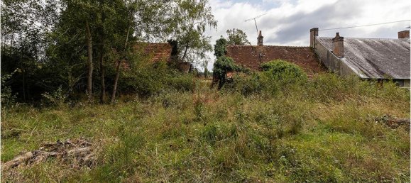 2 غرف نوم منزل في Mur-de-Sologne, France رقم 220671 5