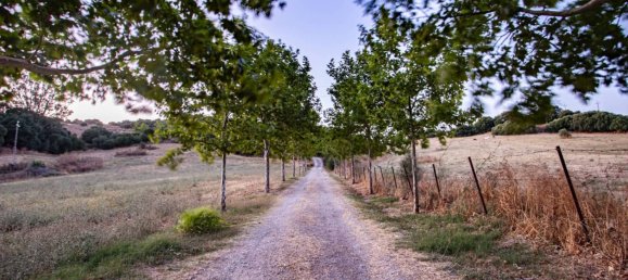 4 غرف نوم منزل في Jimena de la Frontera, Spain رقم 182707 5