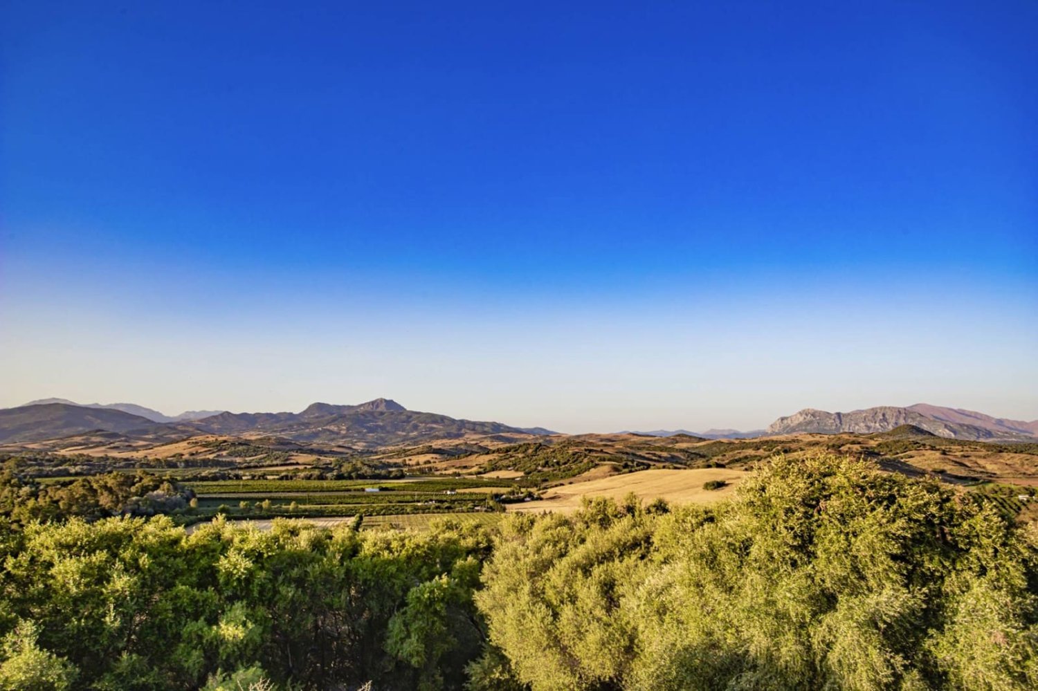 4 غرف نوم منزل في Jimena de la Frontera, Spain رقم 182707