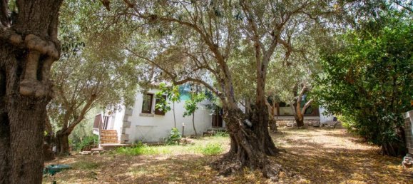 3 غرف نوم فيلا في Loiri Porto San Paolo, Italy رقم 326978 40