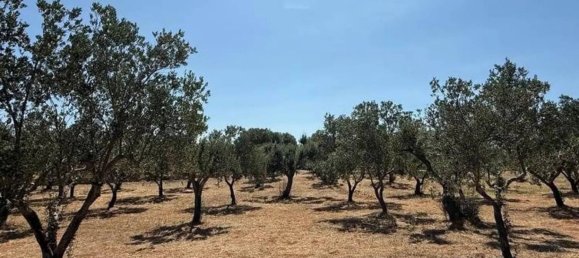 Casa T1 em Ostuni, Italy N.º 345468 9