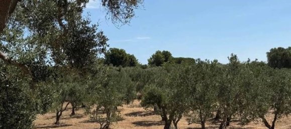 Casa T1 em Ostuni, Italy N.º 345468 12