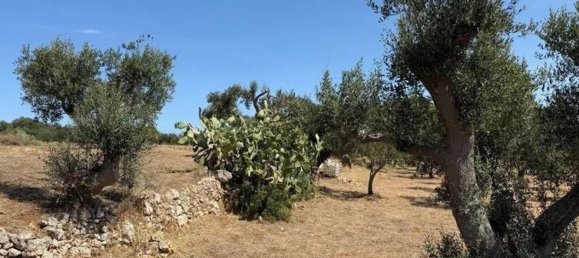 Casa T1 em Ostuni, Italy N.º 345468 15