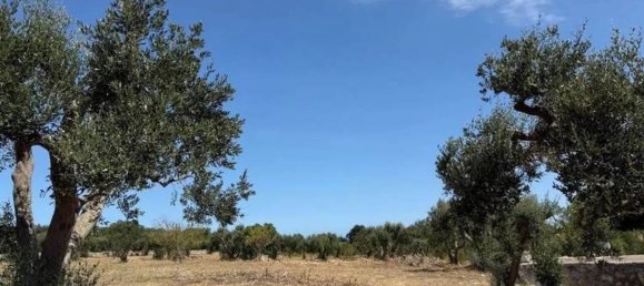 Casa T1 em Ostuni, Italy N.º 345468 11