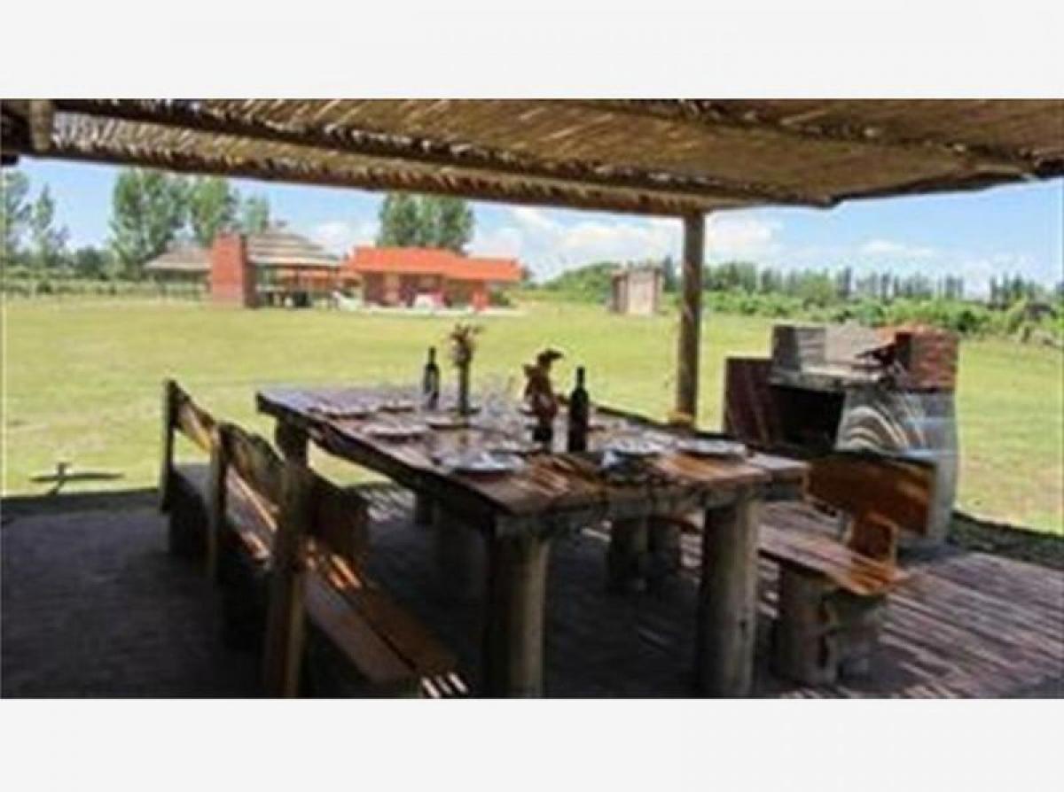 Hotel in Mendoza, Argentina 425m², Nr. 28251