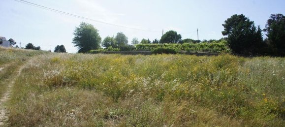 21536m² Land in Chaves, Portugal No. 140009 3
