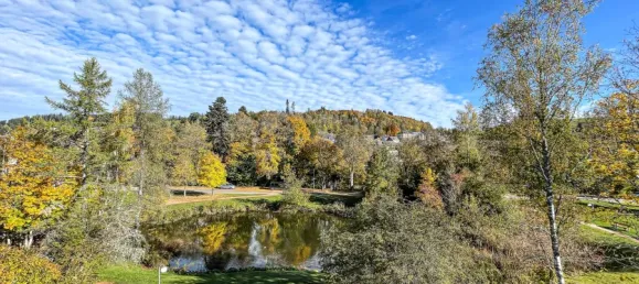 Квартира с 1 спальней в Баден-Вюртемберг, Германия № 110464 4