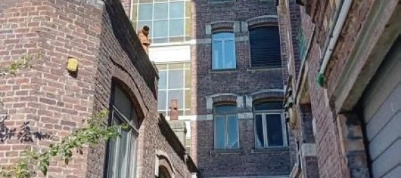 Apartamento T4 em Marcq-en-Baroeul, France N.º 362615 6