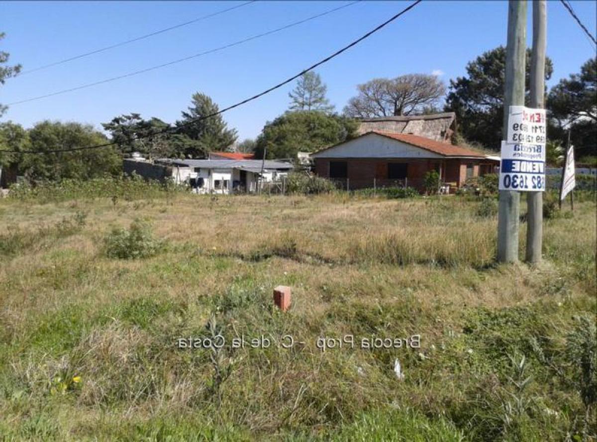 Grundstück in Canelones, Uruguay, Nr. 15023